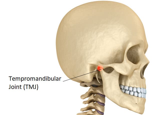 Articulación Tempromandibular